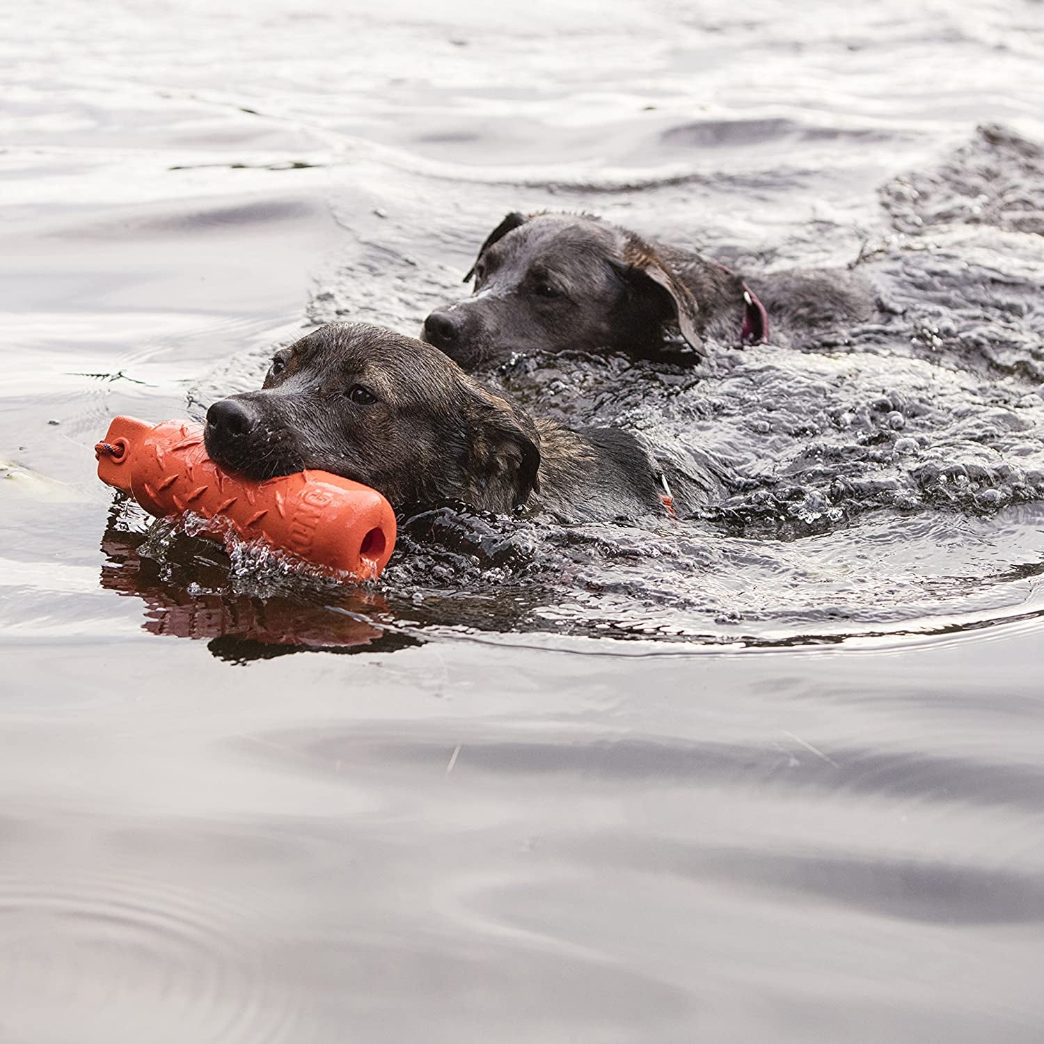 KONG Dog Training Dummy – Floating Water Fetch Toy for Large Dogs, Perfect for Play and Training, Durable & Lightweight