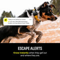 Smart Dog Collar – GPS Dog Tracker & Activity Monitor with Escape Alerts, Waterproof LED Light, Nationwide Coverage, 1-Year Free Membership