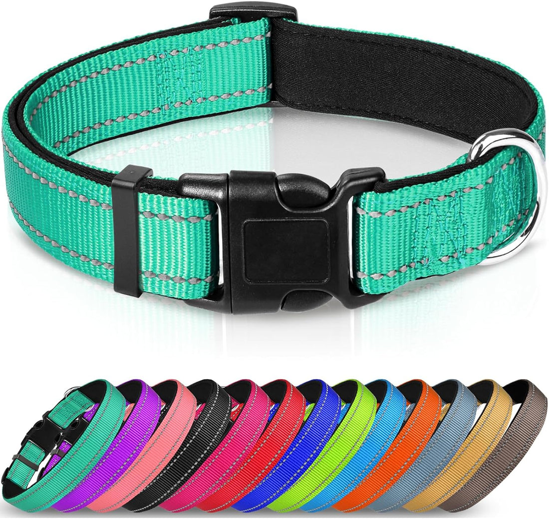Joytale Large Reflective Dog Collar: Soft Neoprene Padded, Breathable Nylon, Adjustable, Teal