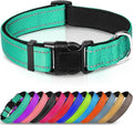 Joytale Large Reflective Dog Collar: Soft Neoprene Padded, Breathable Nylon, Adjustable, Teal