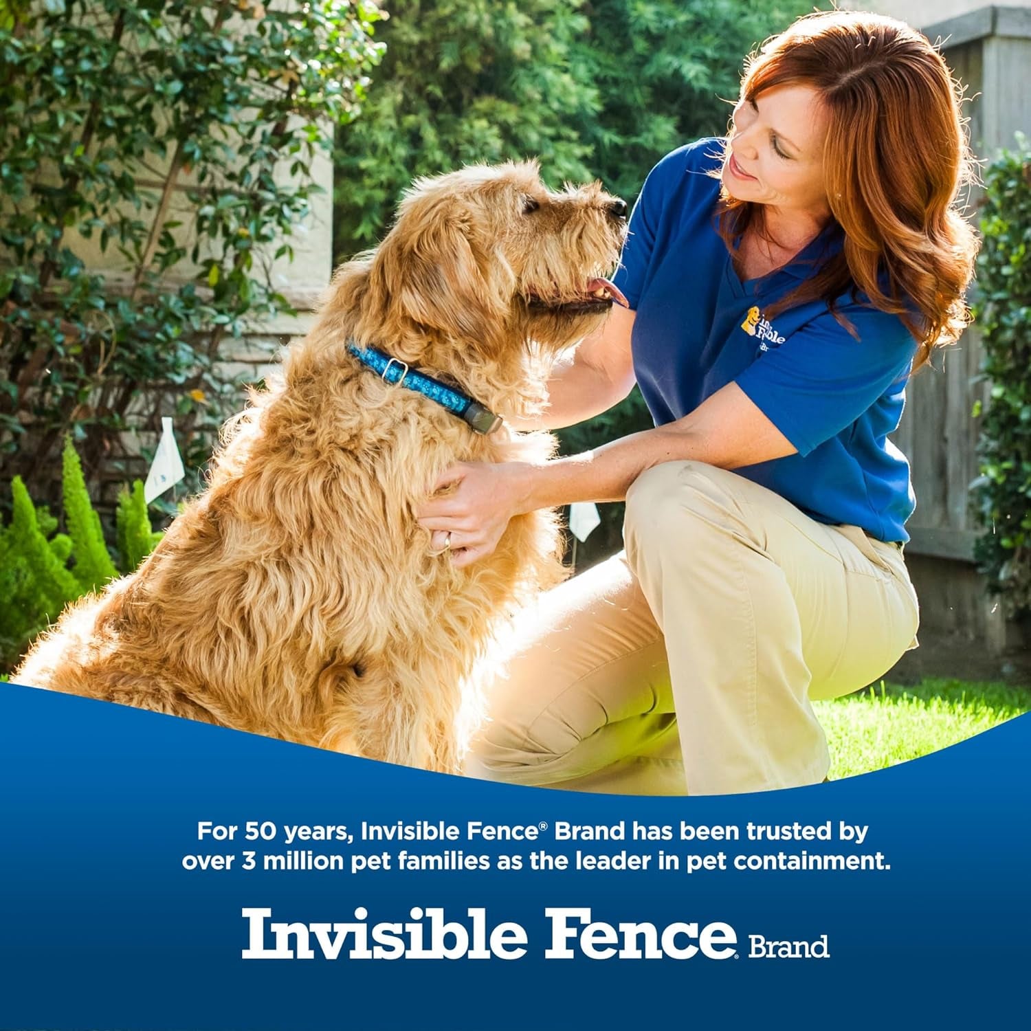 Invisible Fence Brand Power Cap Battery, Compatible with Microlite & Maxdog Computer Collars, Single Replacement Battery