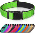 Joytale Large Reflective Dog Collar: Soft Neoprene Padded, Breathable Nylon, Adjustable, Teal