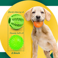 2-in-1 Interactive Dog Balls – 2.5” Squeaky Chew & Teething Toys, Dental Training for Small Dogs, 5-Pack