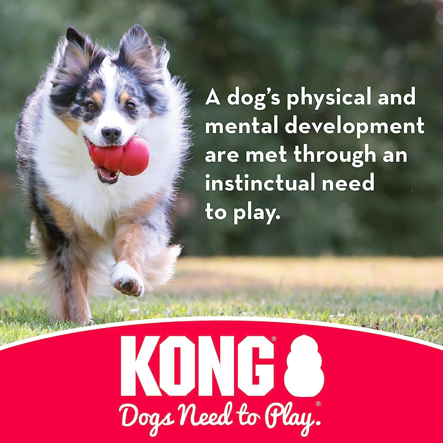 KONG Flyer: Durable Rubber Flying Disc, Outdoor Dog Toy for Fetch, Medium/Large Dogs