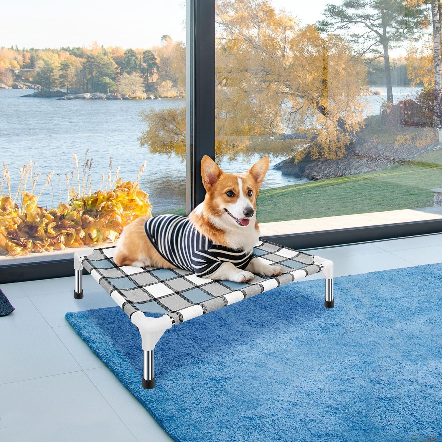 Elevated Taste Life Pet Bed, Raised Dog Cot for Small Pets - Comfort & Style