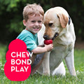 KONG Classic Medium Dog Toy: Chewable, Stuffable, with Unpredictable Bounce, Durable Rubber