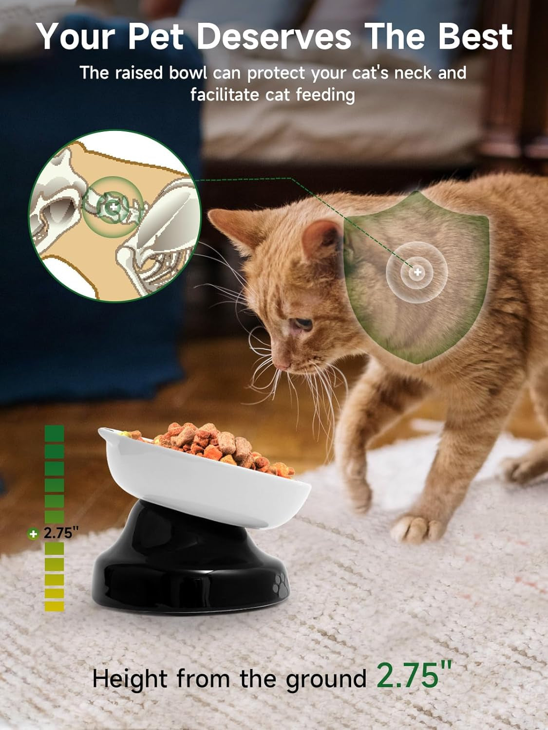 Elevated Slow Feeder Dog Bowl: Tilted Design for Dry and Wet Food