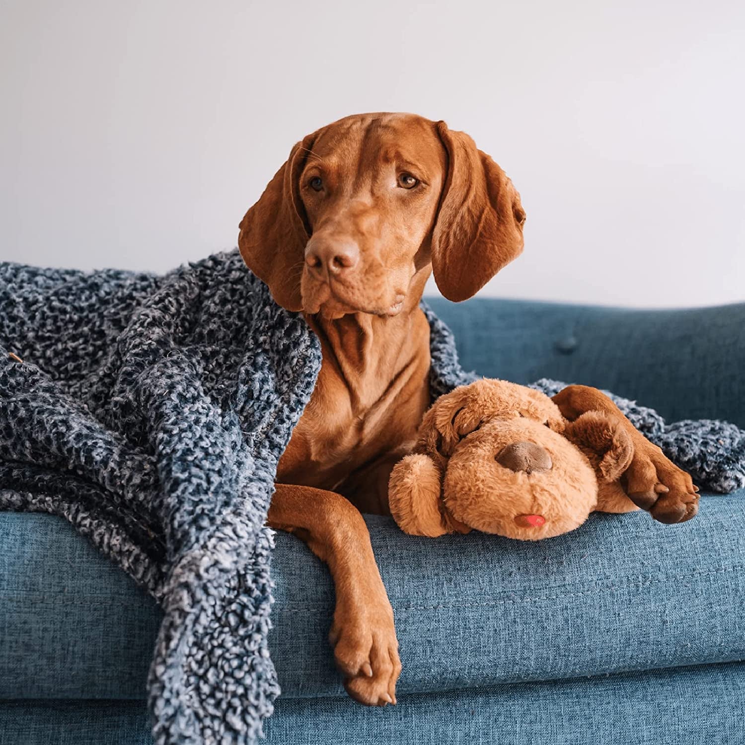 Snuggle Puppy Heartbeat Comfort Toy - Calming Stuffed Animal for Pet Anxiety & Behavioral Training