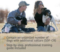 In-Ground Contain & Train System, Waterproof, Rechargeable Collar with Tone, Vibration, Shock, Covers 100 Acres