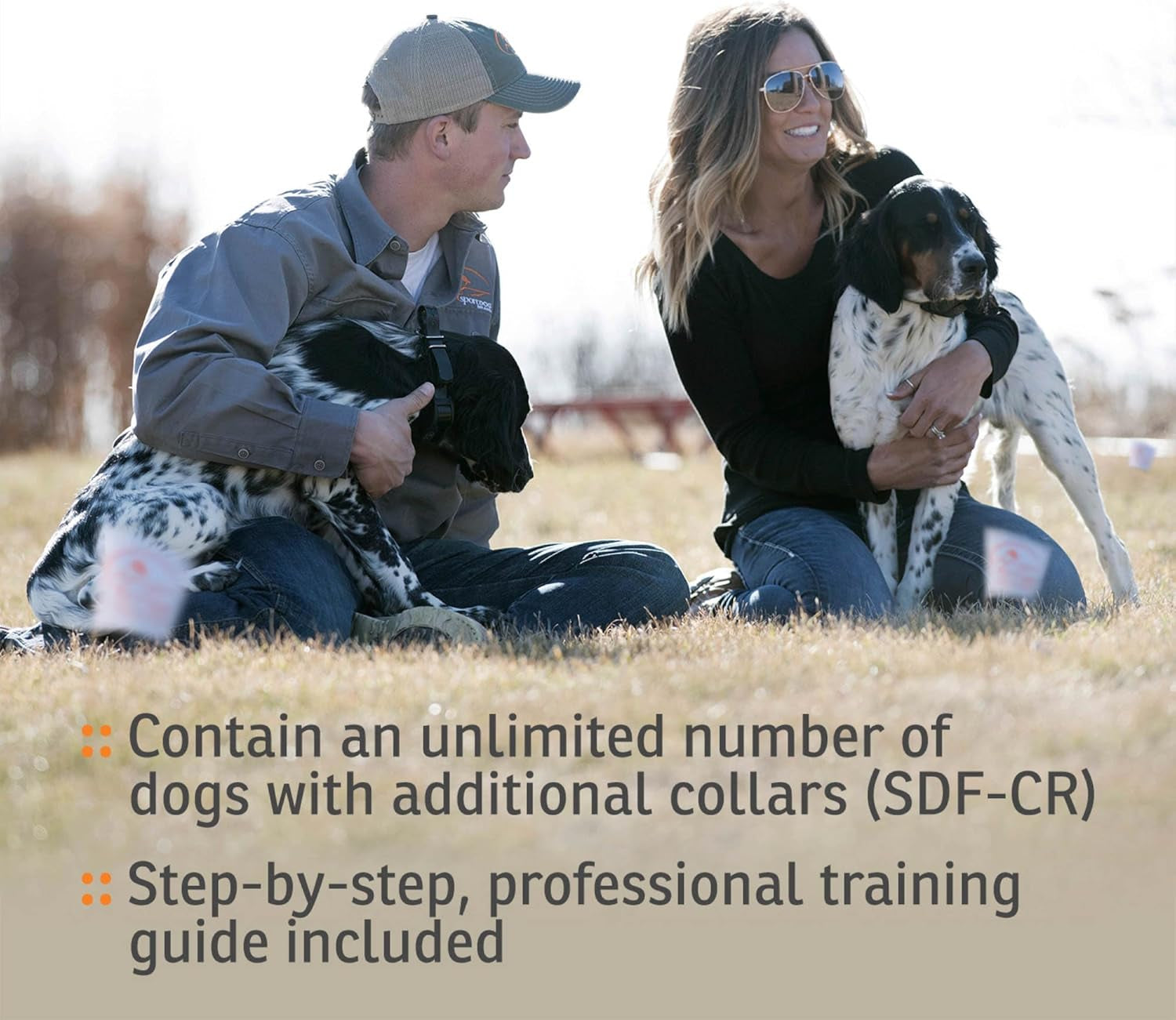 In-Ground Contain & Train System, Waterproof, Rechargeable Collar with Tone, Vibration, Shock, Covers 100 Acres