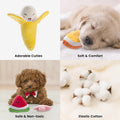Nocciola 12-Piece Squeaky Dog Toy Set: Plush, Includes Carrying Bag for Small to Medium Dogs