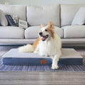 Deluxe Orthopedic Dog Bed, XL - Waterproof, Plush, Anti-Slip, Removable Cover