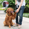 Dog Treat Bag with 3-Cup Capacity, Training Pouch with Waistband - Black