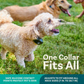 Wireless Dog Fence & Remote Training System for 2 Dogs, Non-GPS 2.4GHz with Beep, Vibration & Shock
