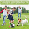 Dog Soccer Ball with Tug Straps, Interactive, Water Toy for Small & Medium Dogs - 6