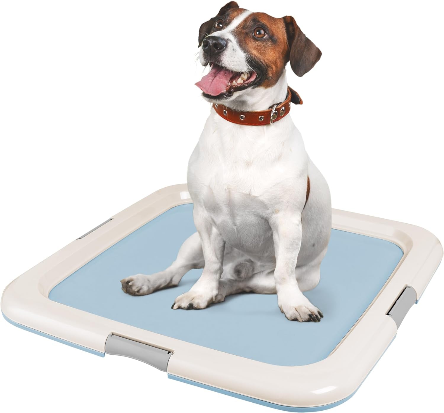 IRIS USA Pee Pad Holder – Non-Skid Leak Protection Tray, Secured Latches, Easy Clean Finish, Fits 20"x20" Pads