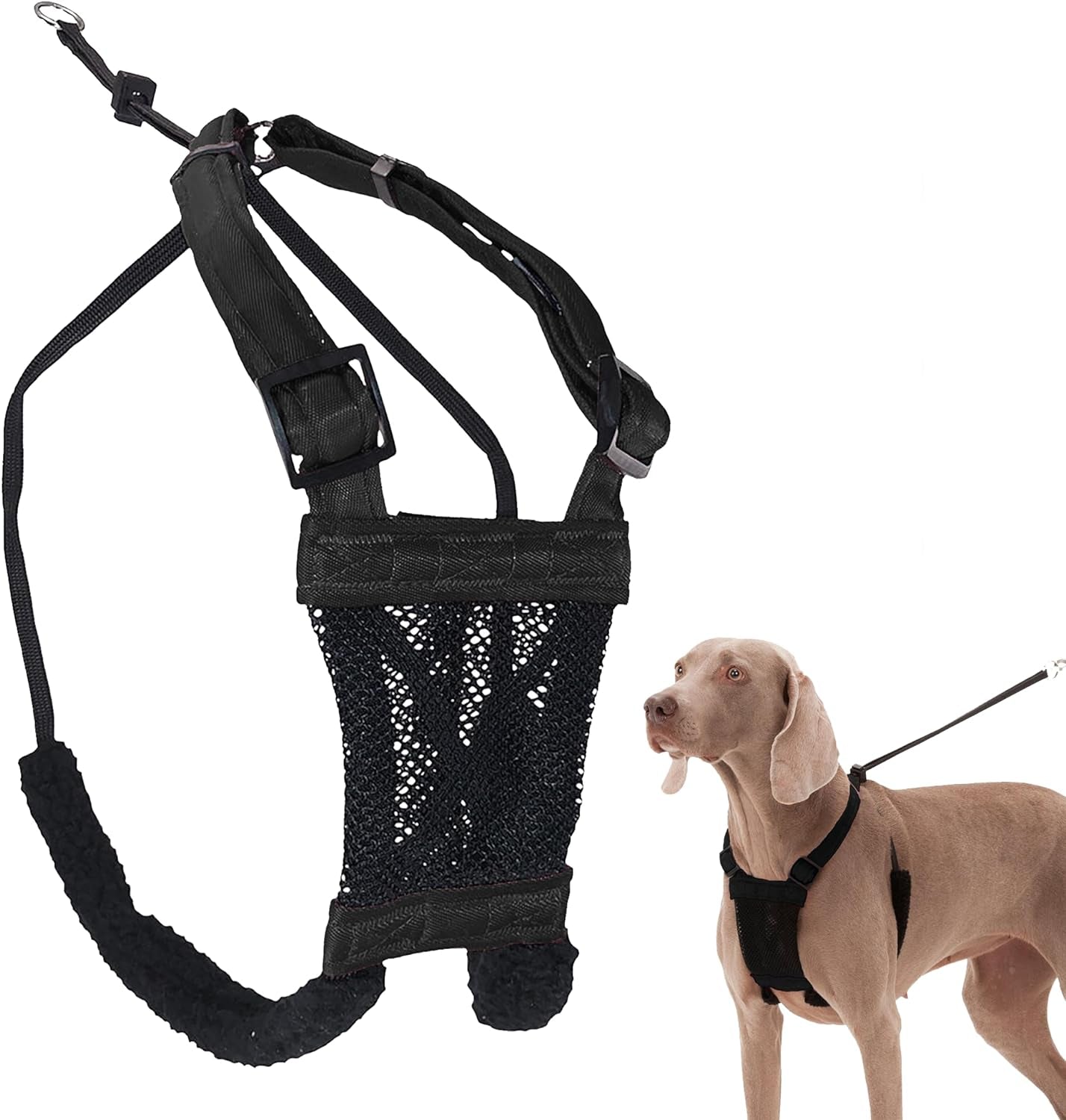 Sporn Small No Pull Dog Harness - Durable Nylon Mesh Harness with Breathable Design, Perfect for Small Breeds