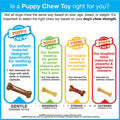 Nylabone Puppy Chew Toy & Treat Starter Kit - 6 Count, Chicken & Bacon Flavors, For Small & Medium Dogs