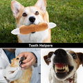 Nocciola 12-Piece Squeaky Dog Toy Set: Plush, Includes Carrying Bag for Small to Medium Dogs
