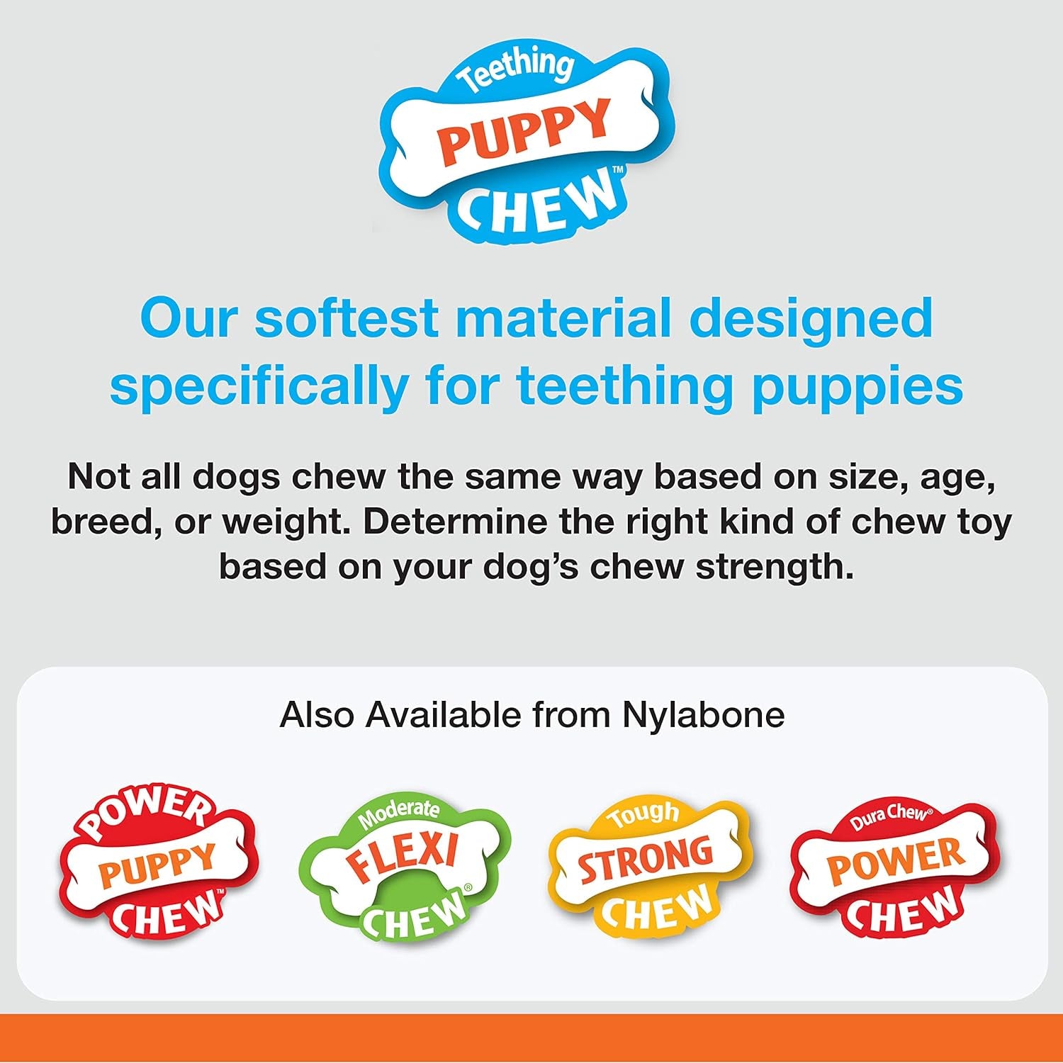 Nylabone Puppy Ring Bone Chew Toy - Chicken Flavor Teething Toy for Small Puppies, Petite Size