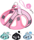 No-Pull Dog Harness & Leash Set for Small Dogs – Soft, Breathable Mesh Step-In Harness, Perfect for Puppies & Small Breeds