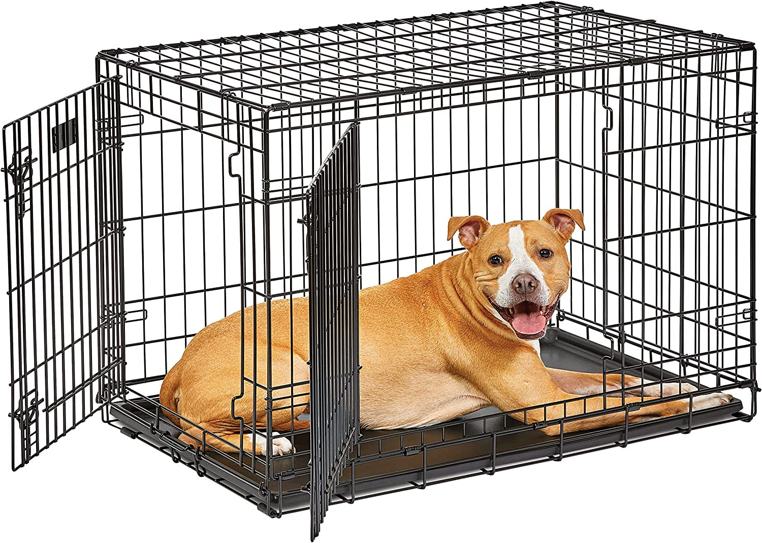 Midwest Life Stages 30" Double Door Folding Dog Crate - Medium Metal Dog Crate with Divider Panel, Floor Protecting Feet & Leak-Proof Pan