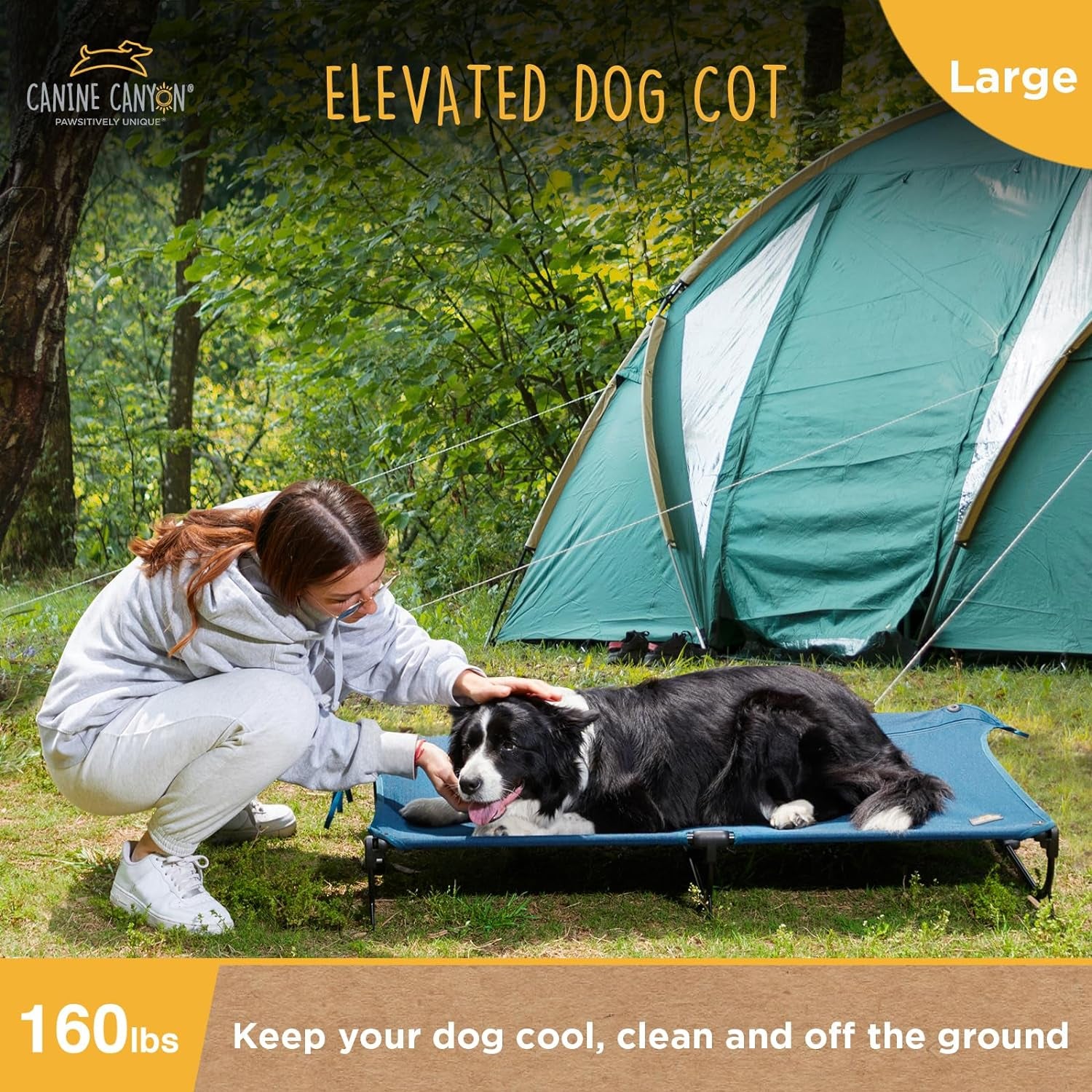 Foldable Elevated Dog Bed, Large, Outdoor, Waterproof, Chew-Proof, 160 Lbs Capacity - Dark Blue