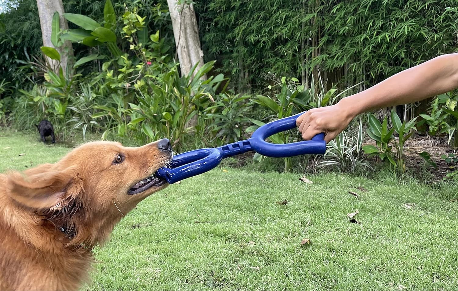 Superchewy Tough Tug Toy – Strong Natural Rubber Tug-of-War Chew Toy for Medium & Large Dogs, Ultra-Durable for Aggressive Chewers