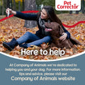 PET CORRECTOR 200ml Trainer: Stops Barking, Jumping, Stealing Food & More, Safe & Humane