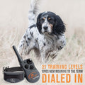 Sportdog Fieldtrainer 425X, Rechargeable Dog Training Collar, 500 Yard Range, Static/Vibrate/Tone