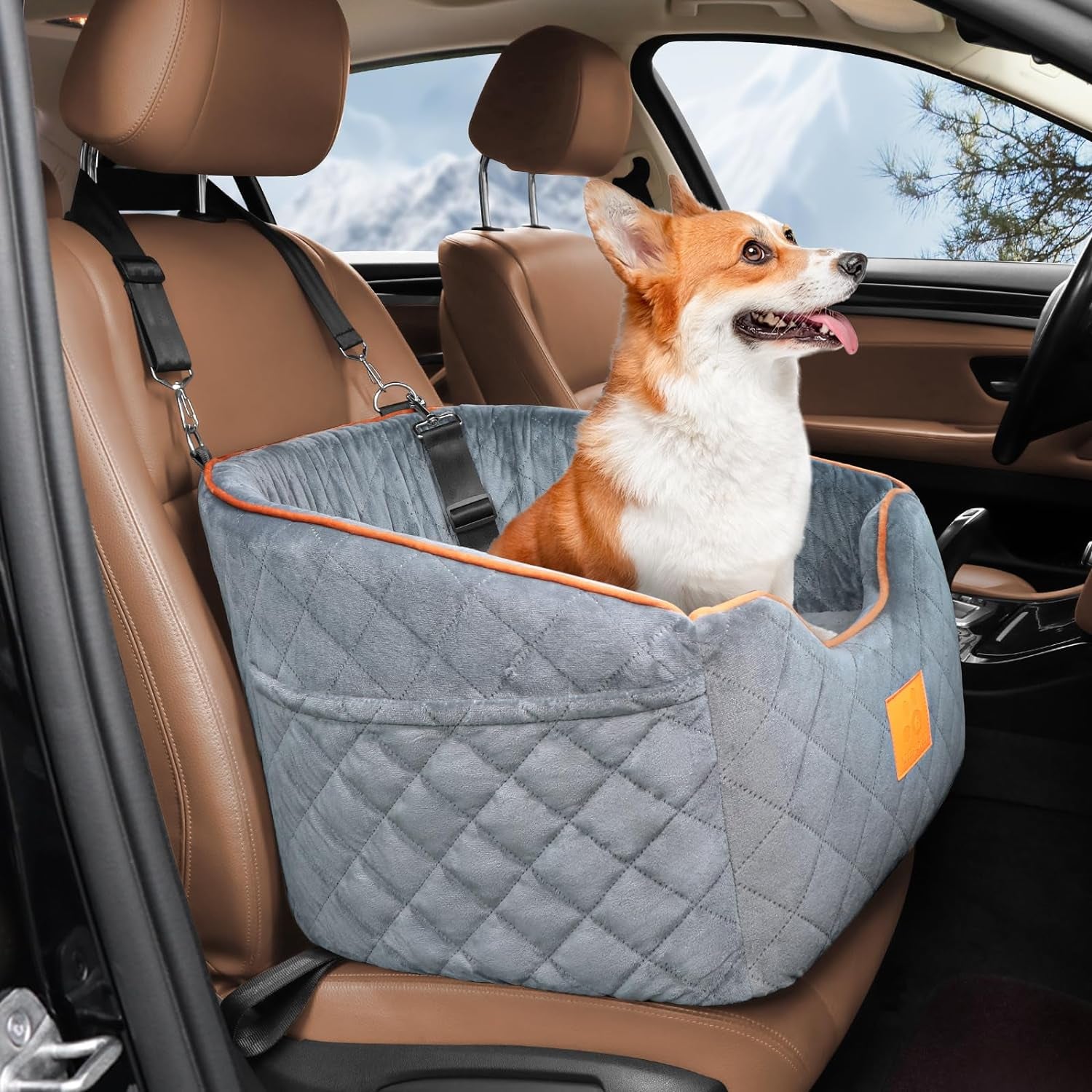 Memory Foam Dog Car Seat for Small Dogs Up to 35 lbs - Elevated Travel Booster Seat with Washable Cover & Storage Pockets, Black/Gray