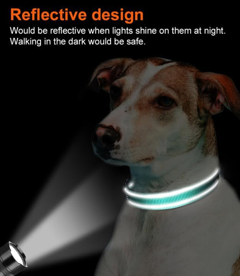Joytale Large Reflective Dog Collar: Soft Neoprene Padded, Breathable Nylon, Adjustable, Teal