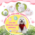 Pink Puppy Toys for Boredom - 23 Pack Puppy Chew Toys for Teething, Interactive Dog Toys for Puppies, Cute Small Dog Toys with Treat Ball, Squeaky Dog Chew Toys and Ropes
