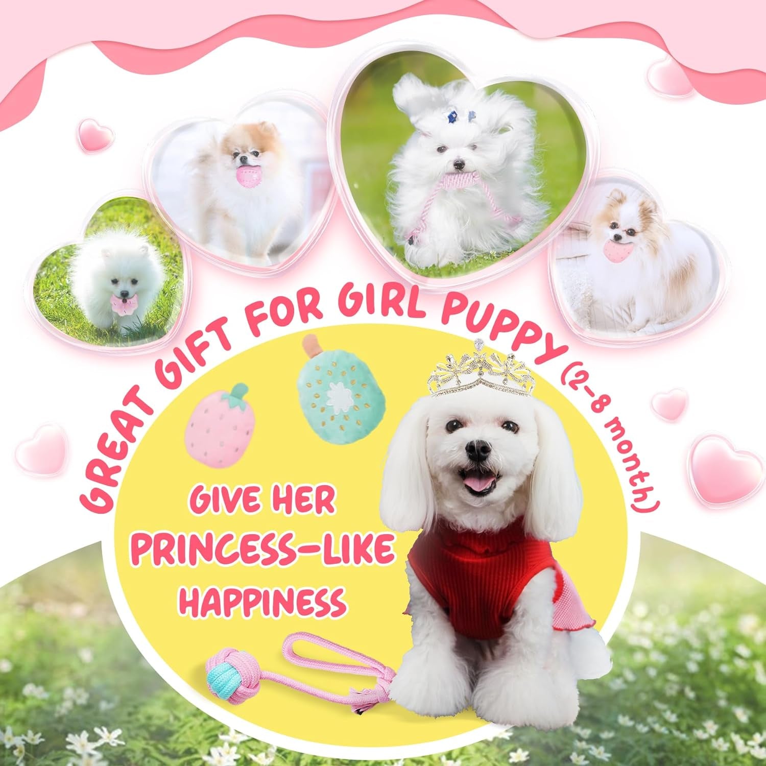 Pink Puppy Toys for Boredom - 23 Pack Puppy Chew Toys for Teething, Interactive Dog Toys for Puppies, Cute Small Dog Toys with Treat Ball, Squeaky Dog Chew Toys and Ropes