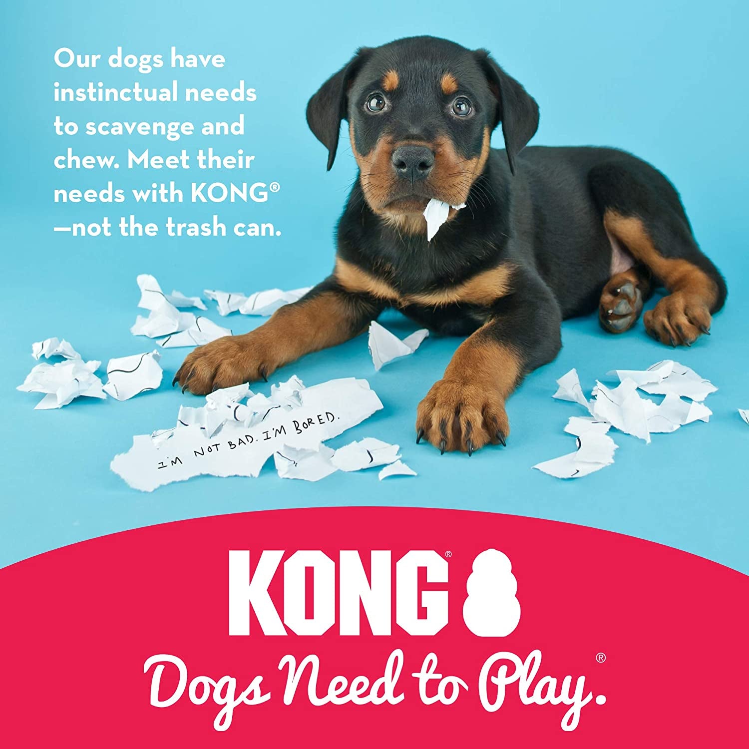 KONG Classic Medium Dog Toy: Chewable, Stuffable, with Unpredictable Bounce, Durable Rubber