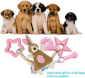 Teething Puppy Toys 5-Pack - Pink Crinkle & Chew Toys for Small Breeds