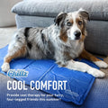 Chillz Large Dog Cooling Mat - Pressure Activated, No Water or Refrigeration Needed, Non-Toxic Gel, 36x20 Inch