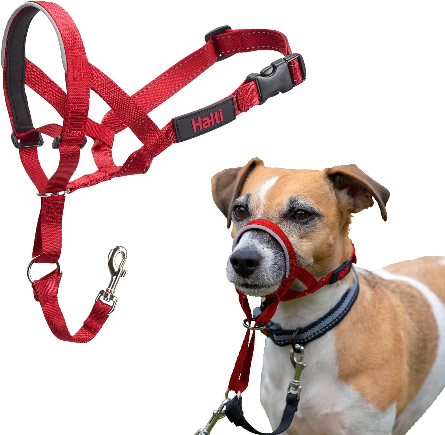 HALTI Headcollar for Medium Dogs - Adjustable, Reflective Anti-Pull Collar with Padded Nose Band