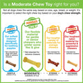 Nylabone Flexichew Bone – Moderate Chew Peanut Butter & Bacon Flavored Chew Toys for Tiny Dogs, 2-Pack for Healthy Teeth & Gum Maintenance