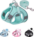 No-Pull Dog Harness & Leash Set for Small Dogs – Soft, Breathable Mesh Step-In Harness, Perfect for Puppies & Small Breeds