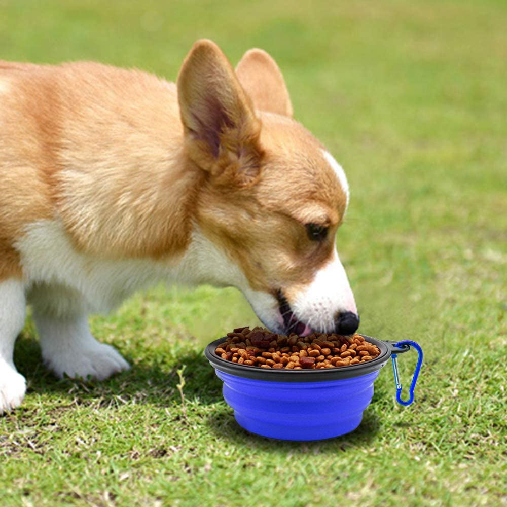 2-Pack Collapsible Dog Bowls with Carabiners: Small, Portable, Blue+Green for Travel