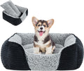 Miguel Washable Dog Bed with Removable Cushion – Easy-to-Wash Small Dog Sofa Bed, Anti-Slip Bottom & Bolstered Calming Cuddle Design