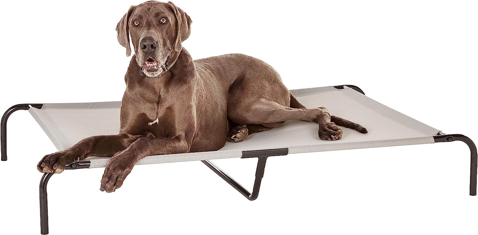 Amazon Basics Cooling Elevated Dog Bed with Metal Frame, Various Sizes + Colors