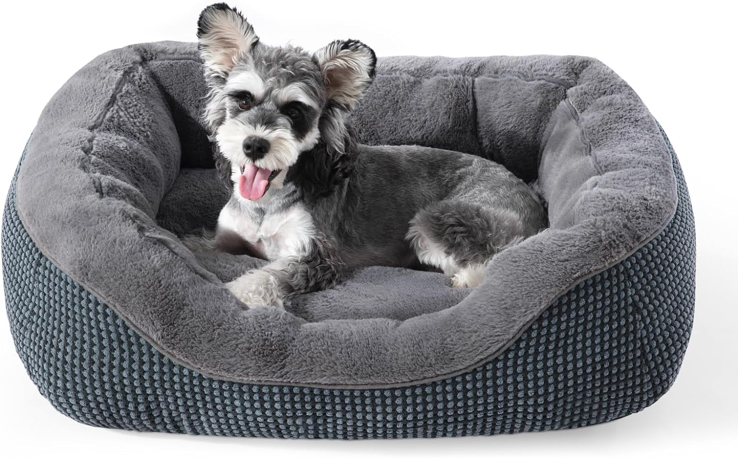 INVENHO Small Orthopedic Dog Bed - Washable, Anti-Slip for Small Dogs & Cats, 20"x19"x6"