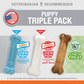 Nylabone Puppy Triple Pack - Blue Teething Toy, Nylon Chew, & Tasty Treats in Chicken & Bacon Flavors - Perfect for Small Dogs