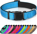 Joytale Large Reflective Dog Collar: Soft Neoprene Padded, Breathable Nylon, Adjustable, Teal