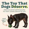 WOOF Pupsicle Long-Lasting Dog Toy, Fillable, Safe, Easy Clean - 25 to 75lbs