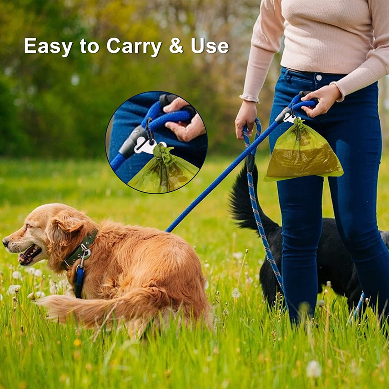 Dog Poop Bag Holder Set, Leash Attachment, Metal Carrier, Hands-Free Design - Black