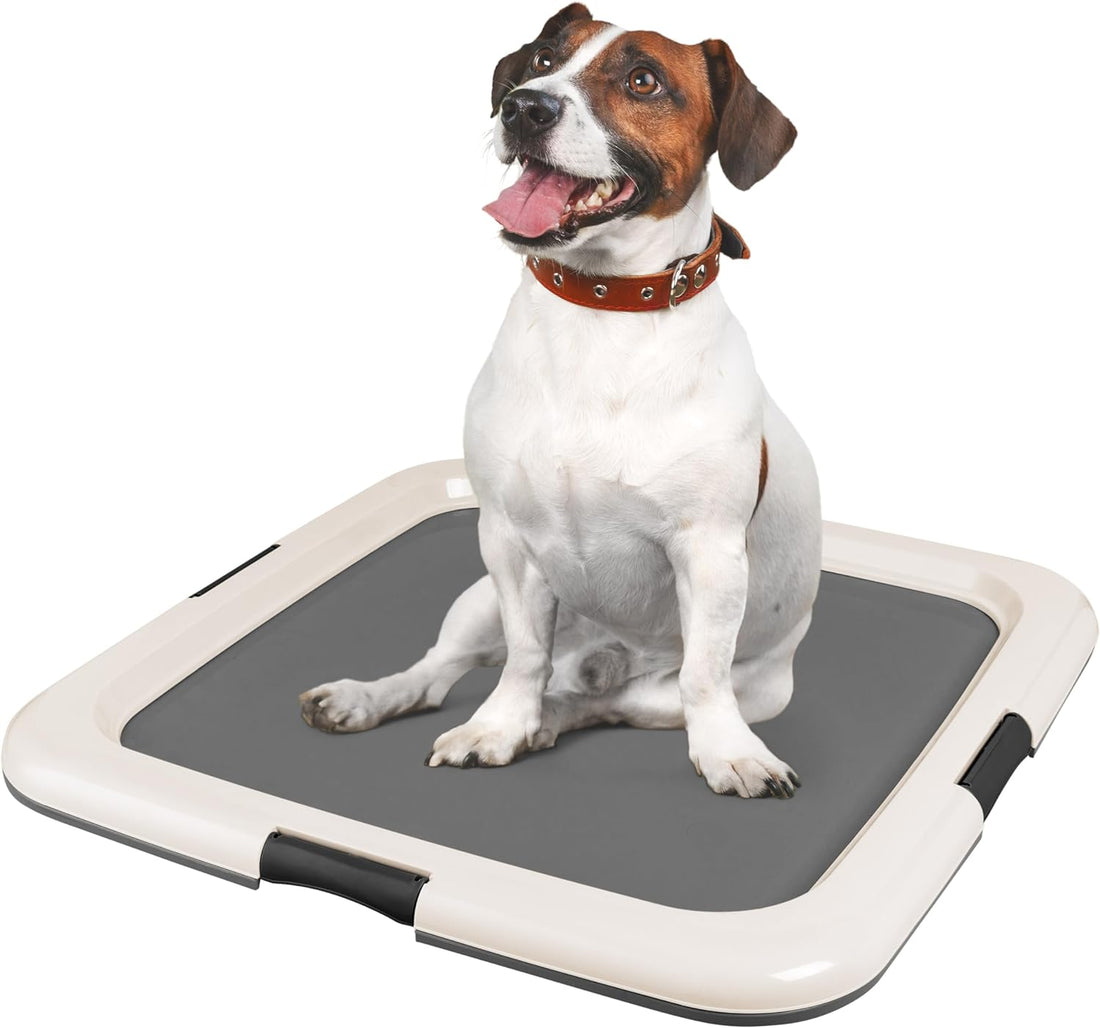 IRIS USA Pee Pad Holder – Non-Skid Leak Protection Tray, Secured Latches, Easy Clean Finish, Fits 20"x20" Pads