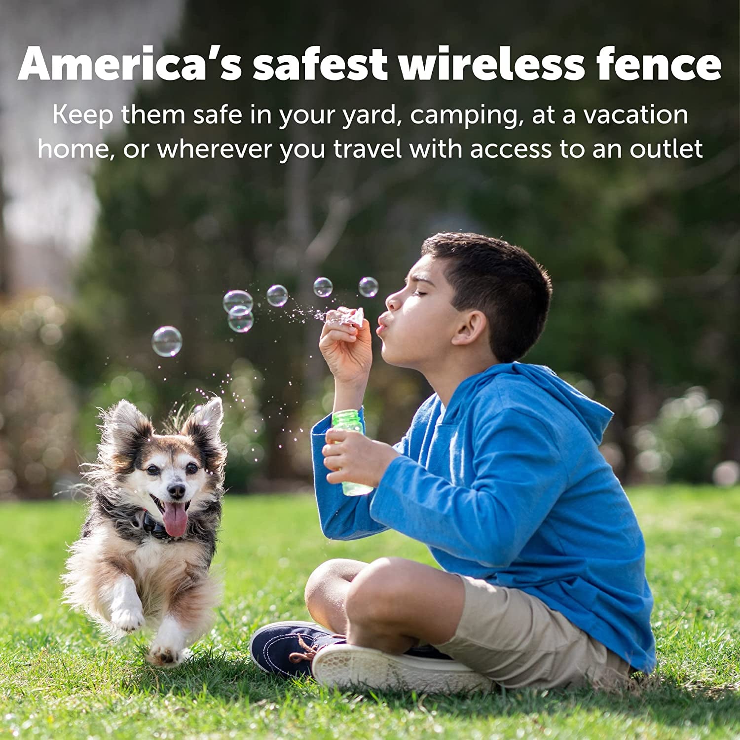 Petsafe Wireless Dog Fence Receiver Collar – Waterproof Collar for Dogs Over 8 lbs, Tone/Static Correction